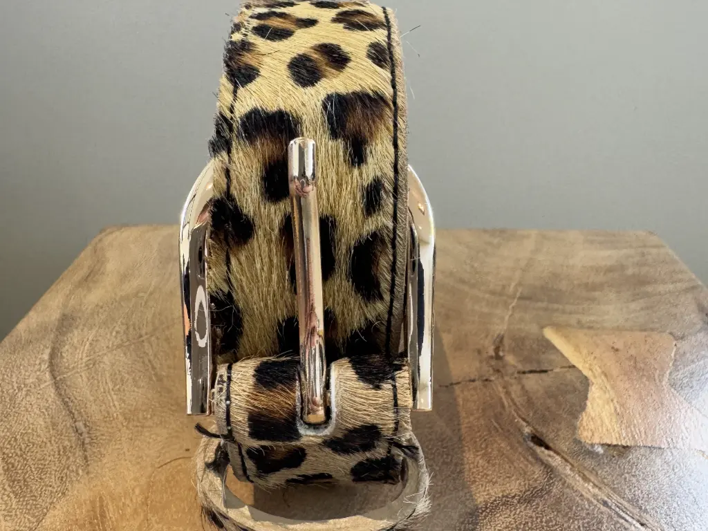 IMG_8617 (Custom).webp