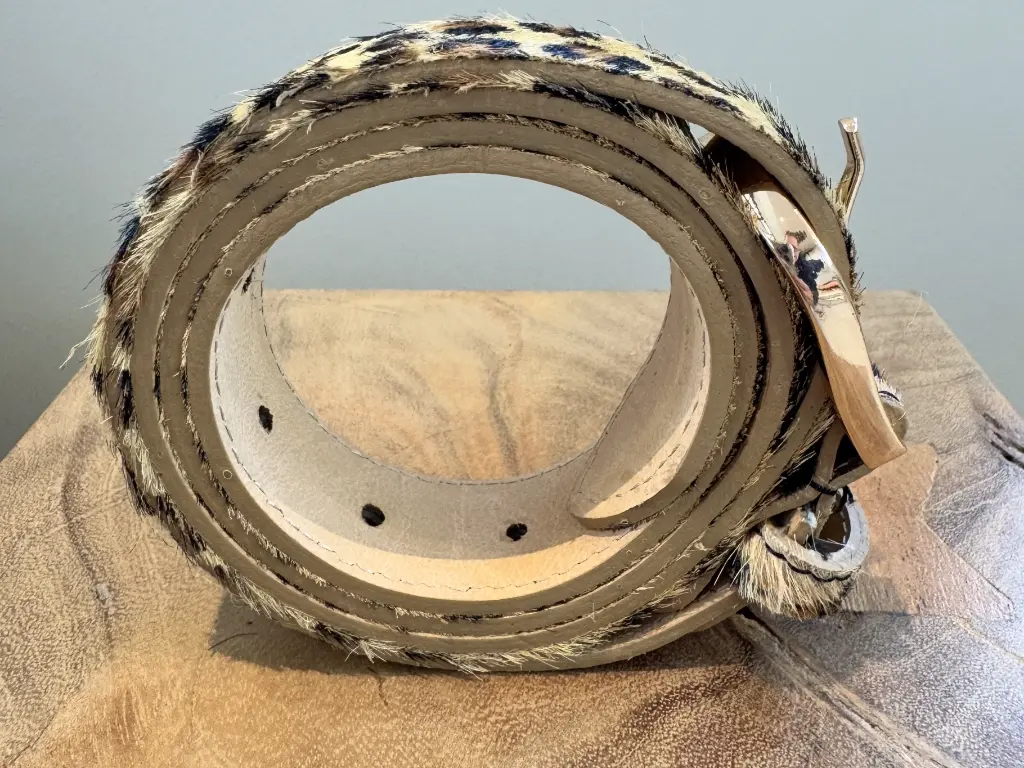 IMG_8618 (Custom).webp