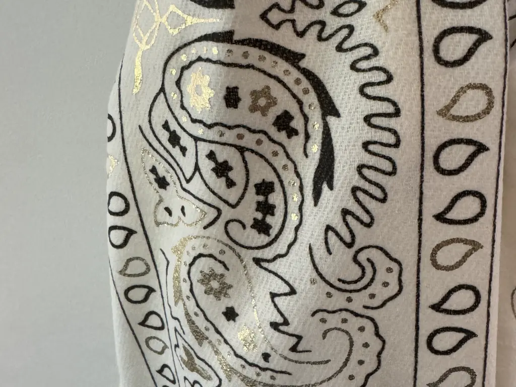 IMG_8637 (Custom).webp