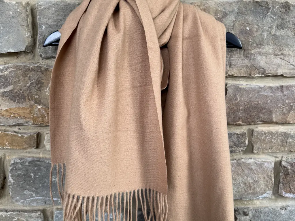 IMG_8627 (Custom).webp